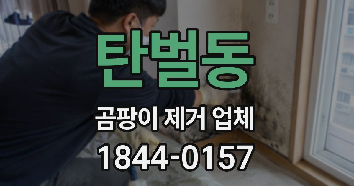 탄벌동 곰팡이 제거 업체