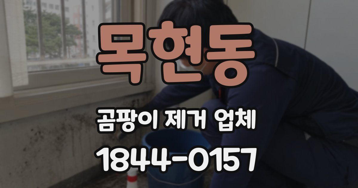 목현동 곰팡이 제거 업체