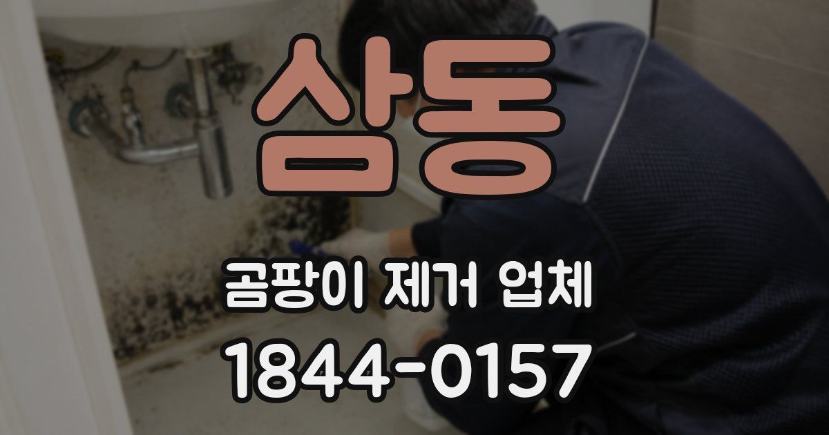 삼동 곰팡이 제거 업체
