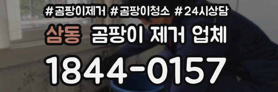 삼동 곰팡이 제거 업체