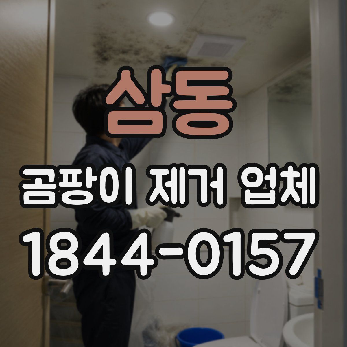 삼동 곰팡이 제거 업체