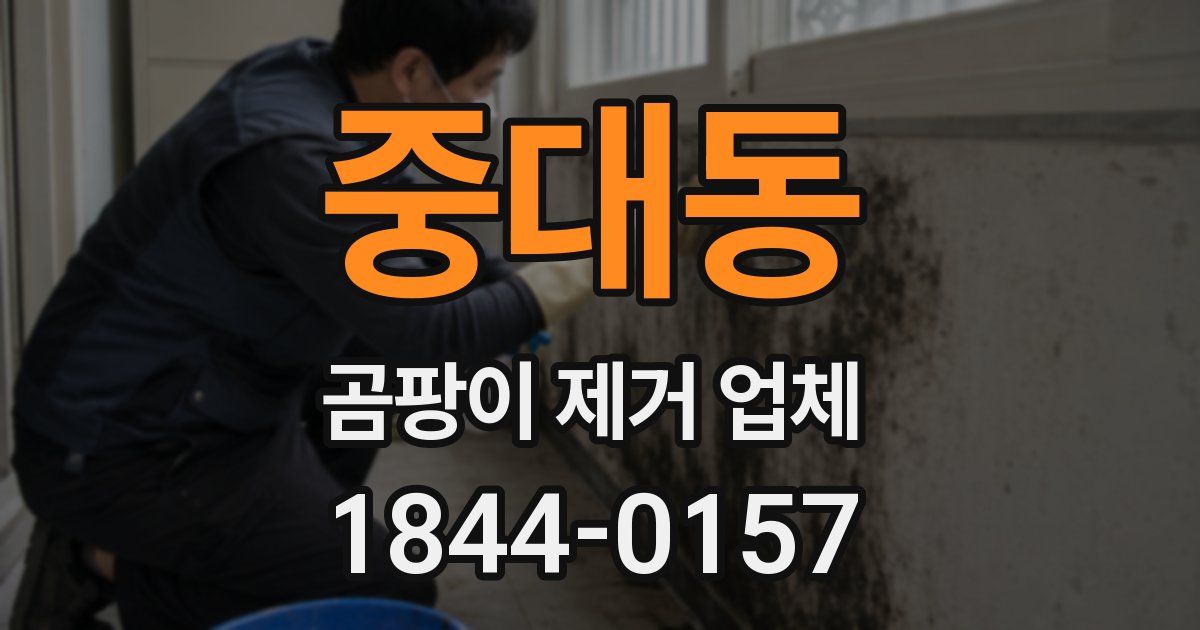 중대동 곰팡이 제거 업체