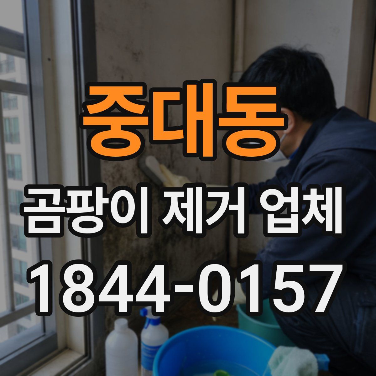 중대동 곰팡이 제거 업체