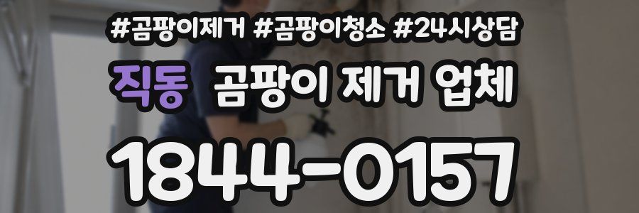 직동 곰팡이 제거 업체