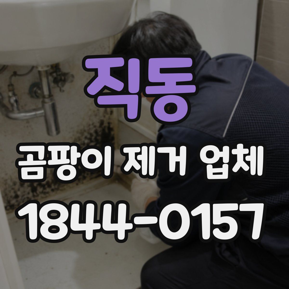 직동 곰팡이 제거 업체