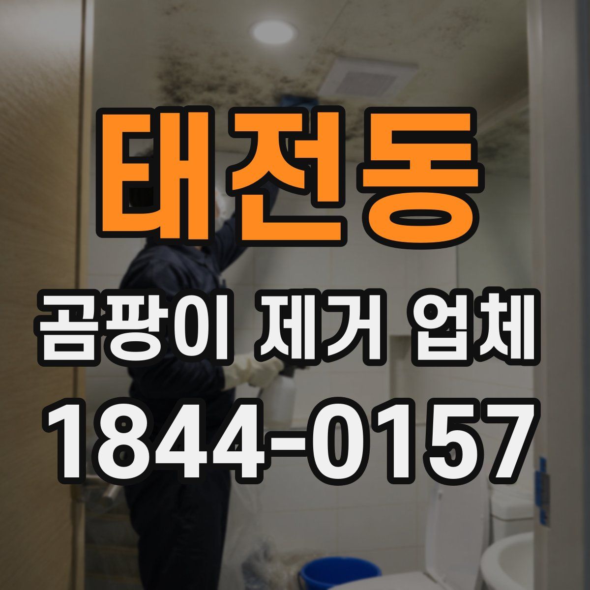 태전동 곰팡이 제거 업체