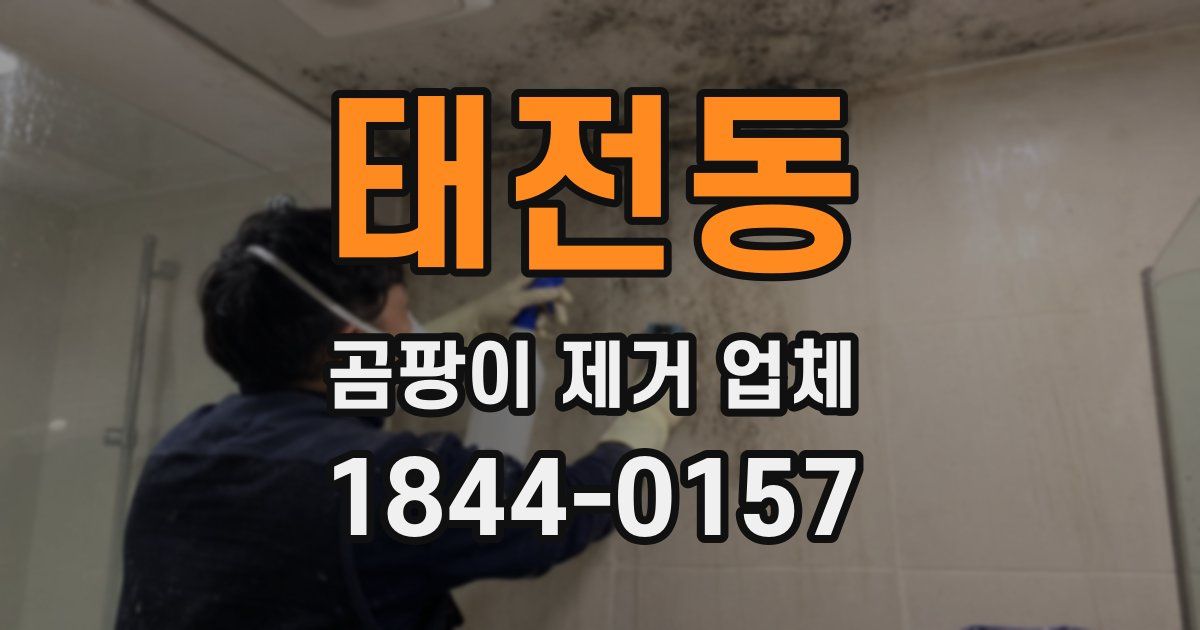 태전동 곰팡이 제거 업체