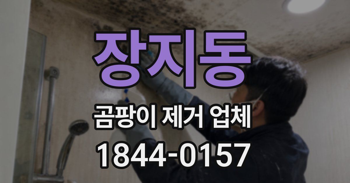 장지동 곰팡이 제거 업체