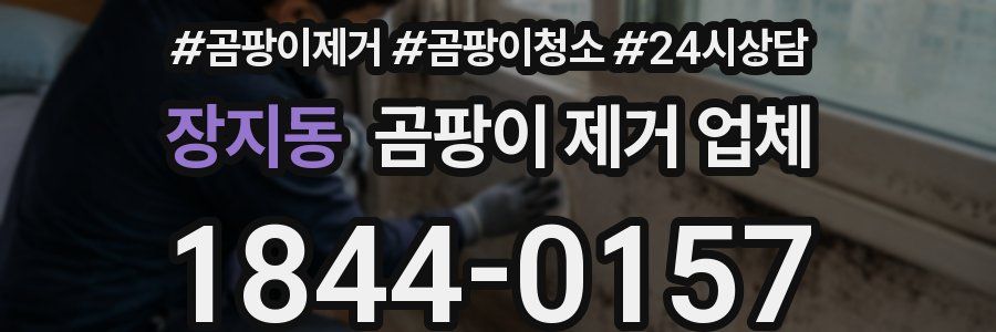 장지동 곰팡이 제거 업체