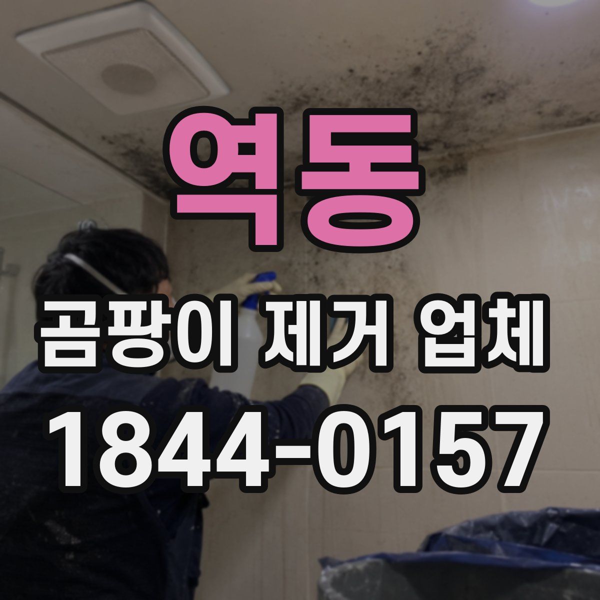 역동 곰팡이 제거 업체