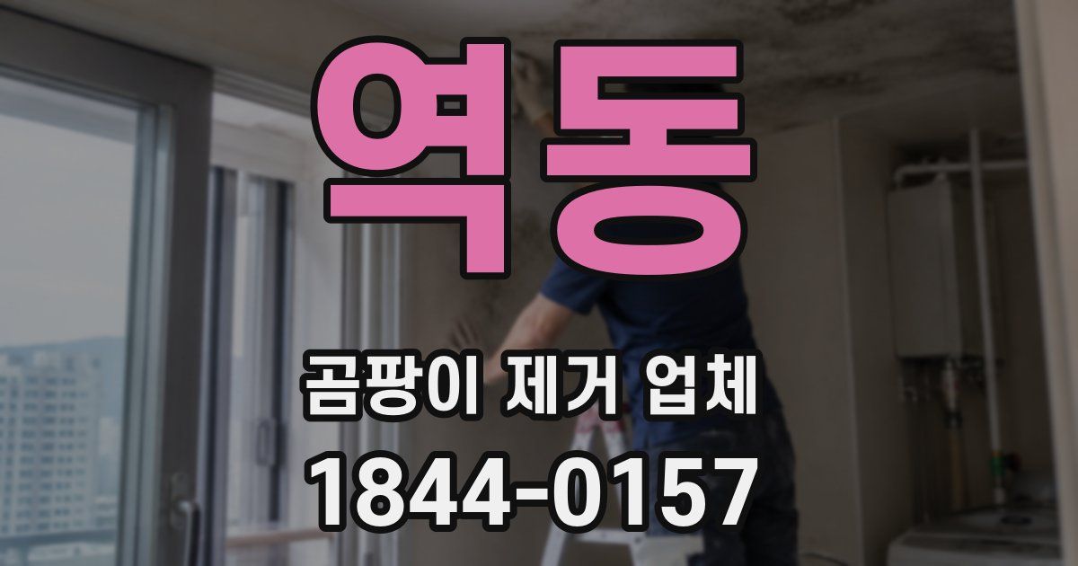 역동 곰팡이 제거 업체
