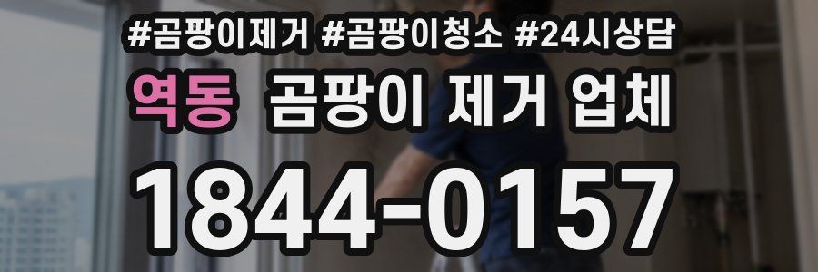 역동 곰팡이 제거 업체