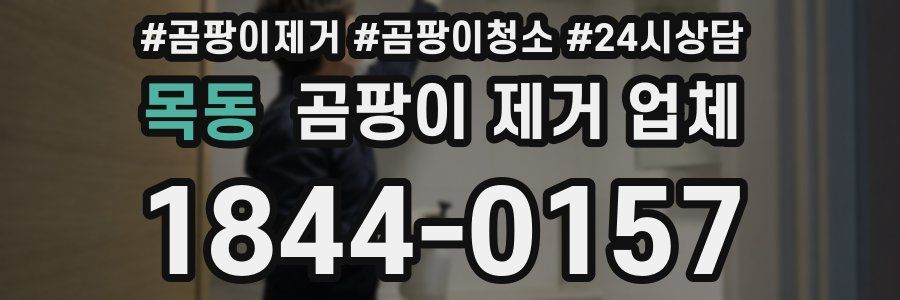 목동 곰팡이 제거 업체