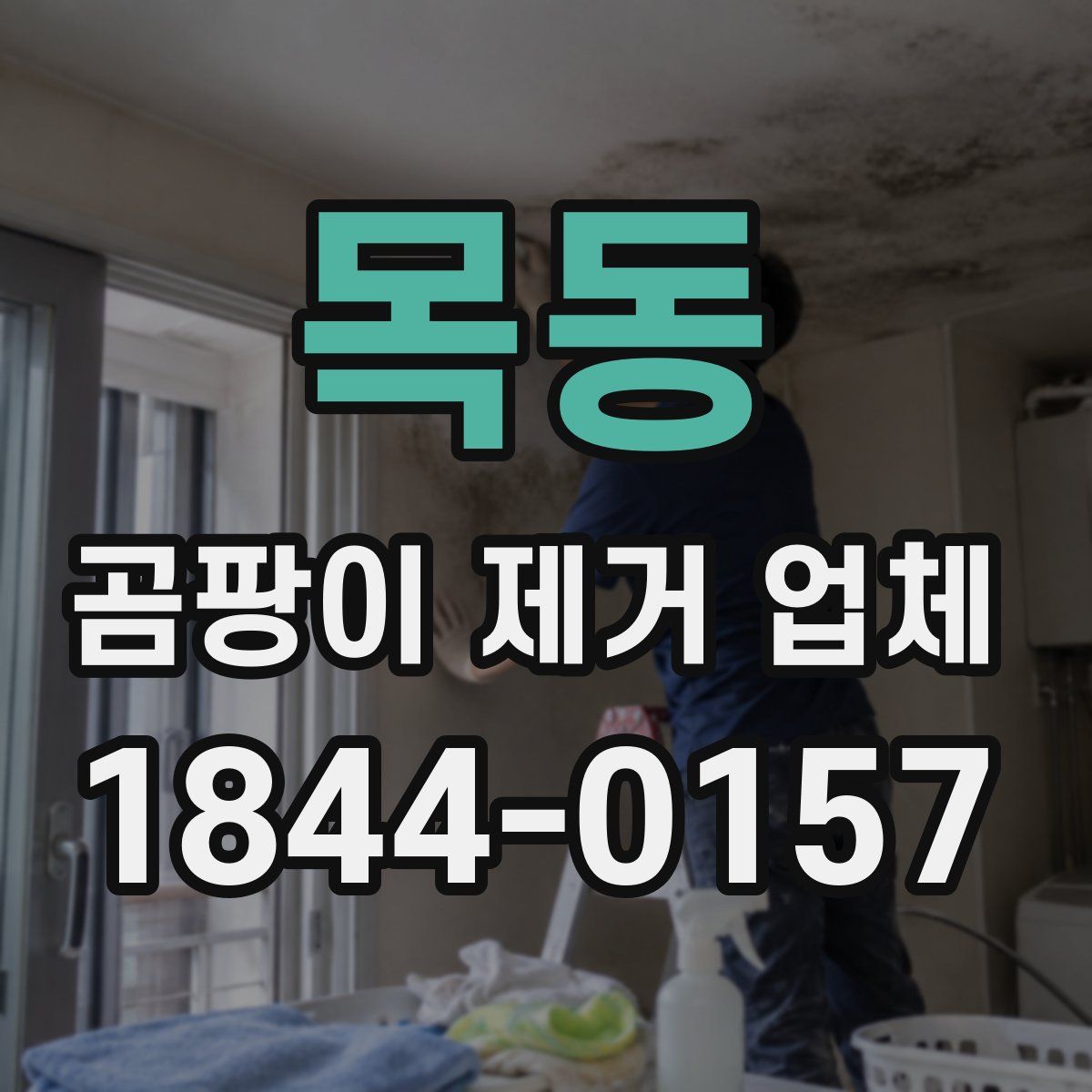 목동 곰팡이 제거 업체