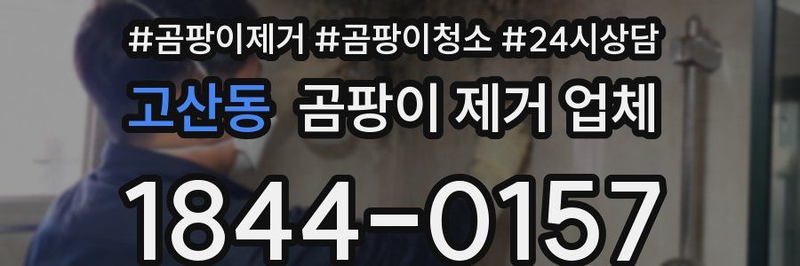 고산동 곰팡이 제거 업체