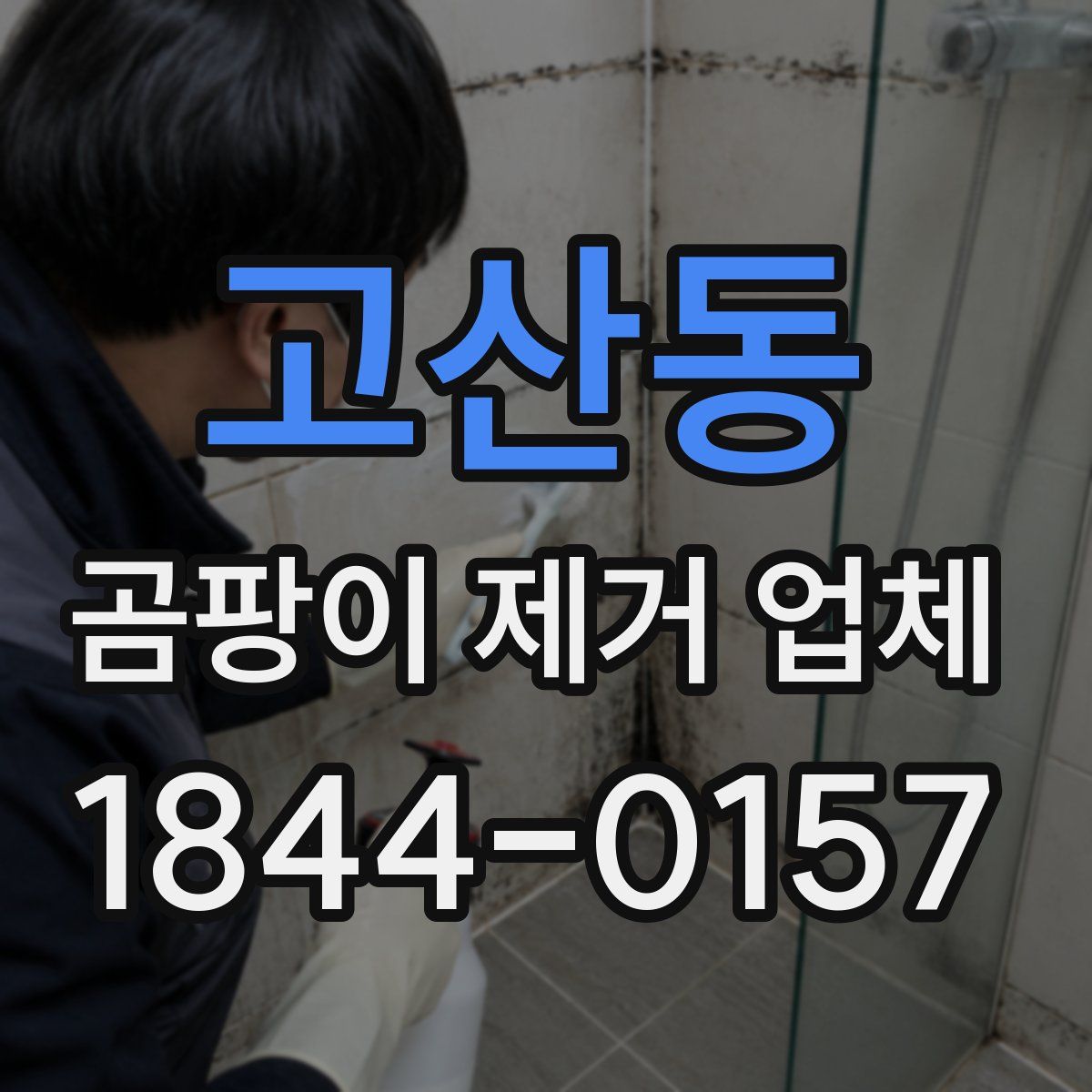 고산동 곰팡이 제거 업체