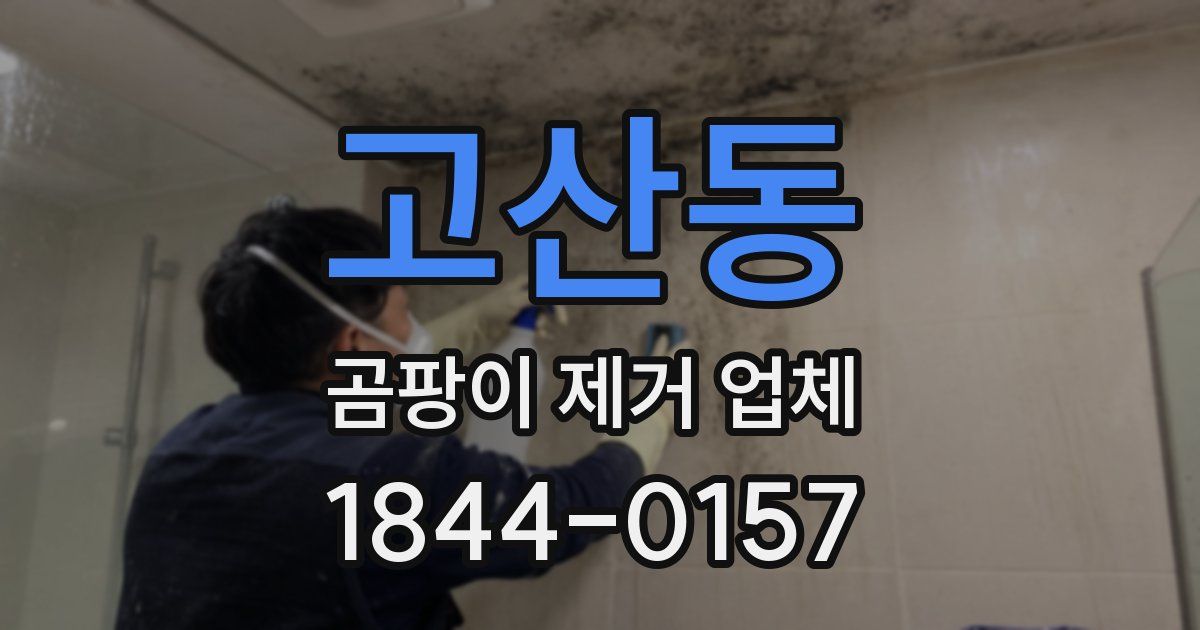 고산동 곰팡이 제거 업체