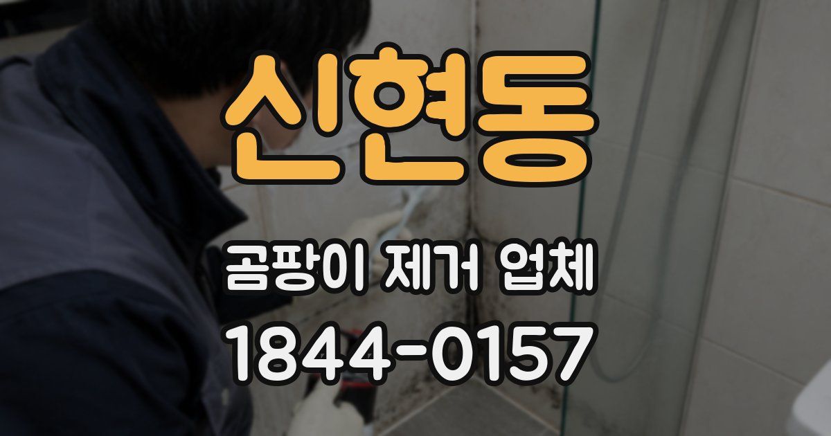 신현동 곰팡이 제거 업체