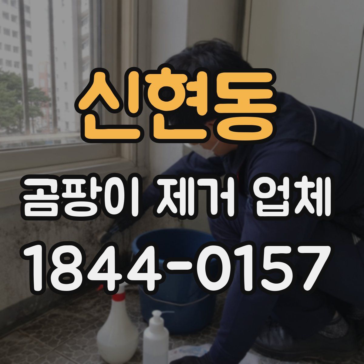 신현동 곰팡이 제거 업체