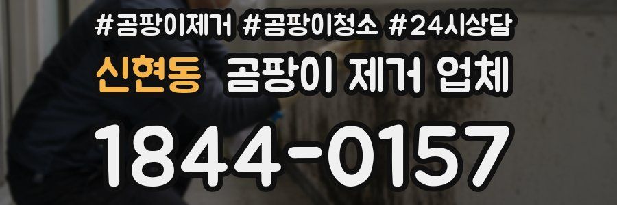 신현동 곰팡이 제거 업체