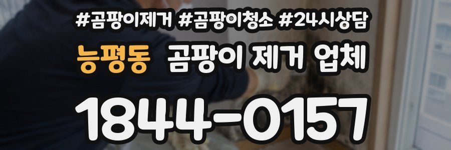 능평동 곰팡이 제거 업체