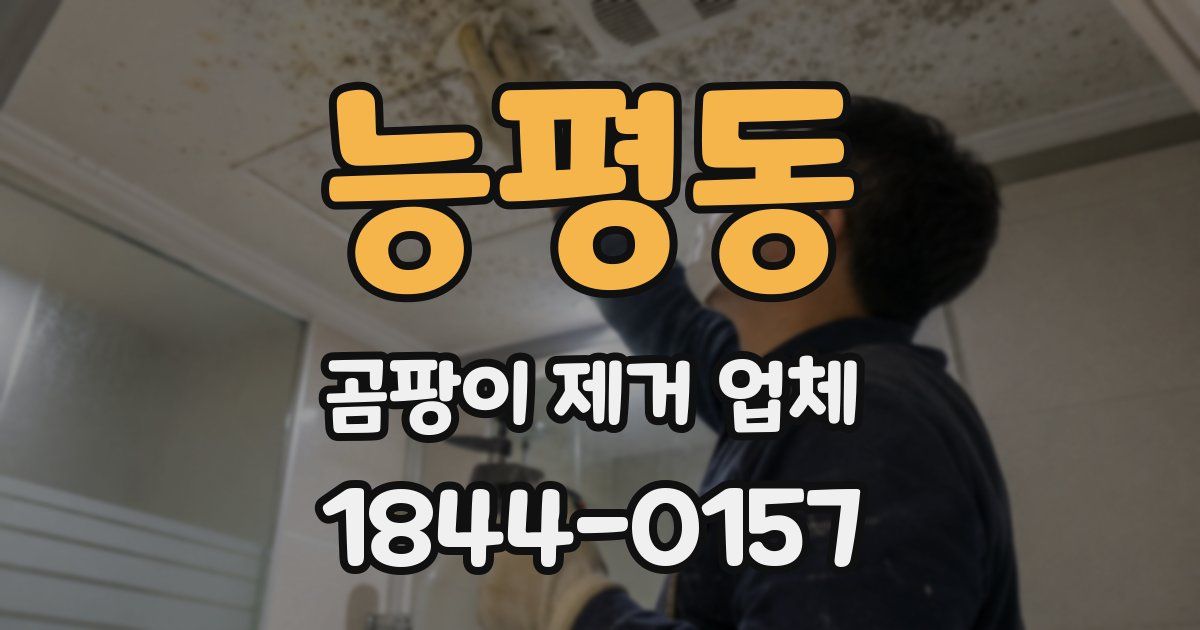 능평동 곰팡이 제거 업체