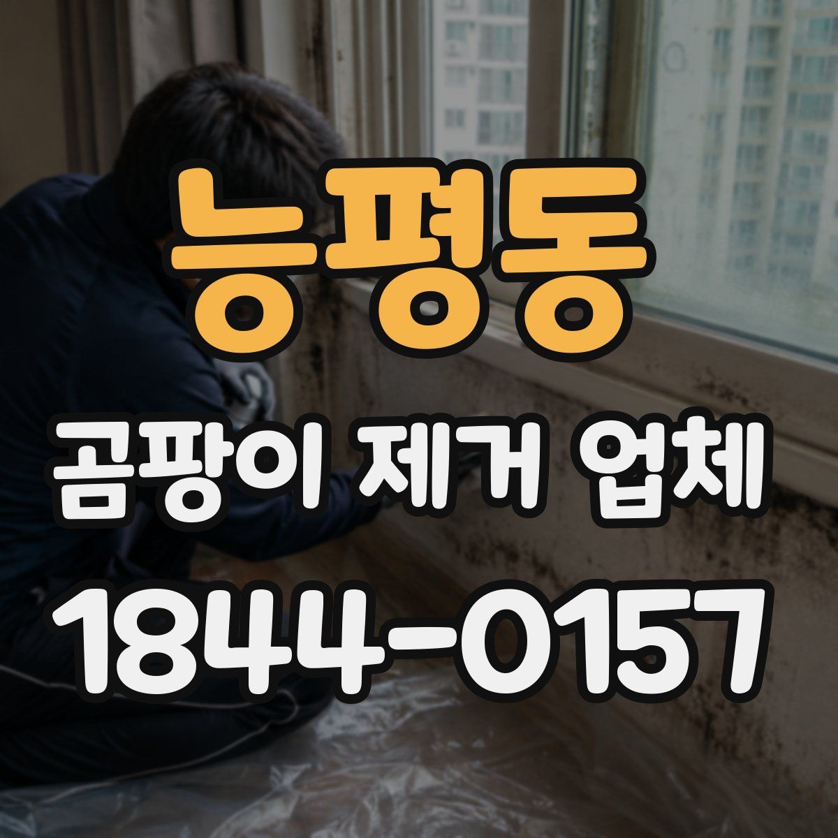 능평동 곰팡이 제거 업체