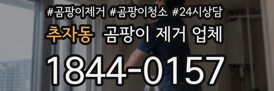 추자동 곰팡이 제거 업체