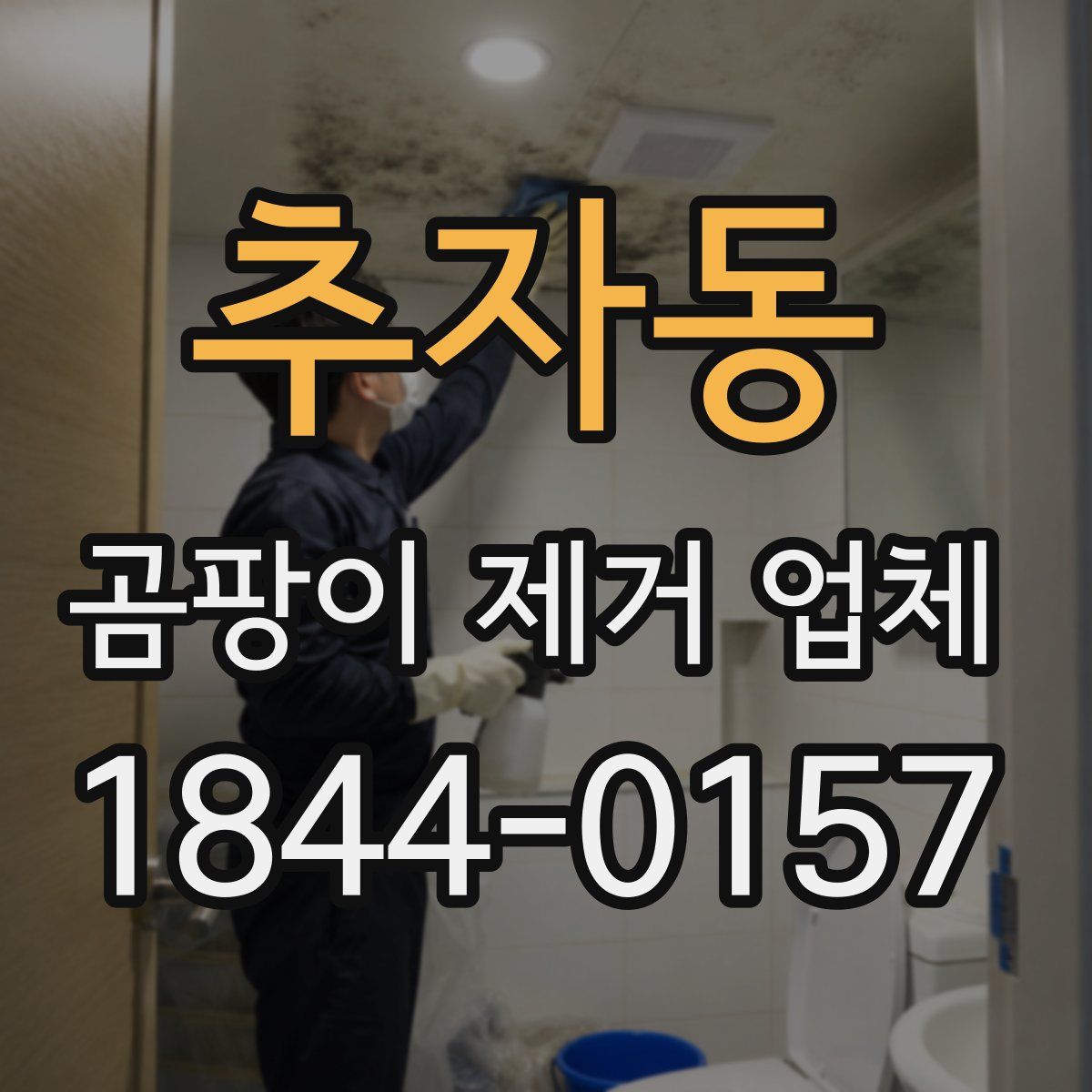 추자동 곰팡이 제거 업체