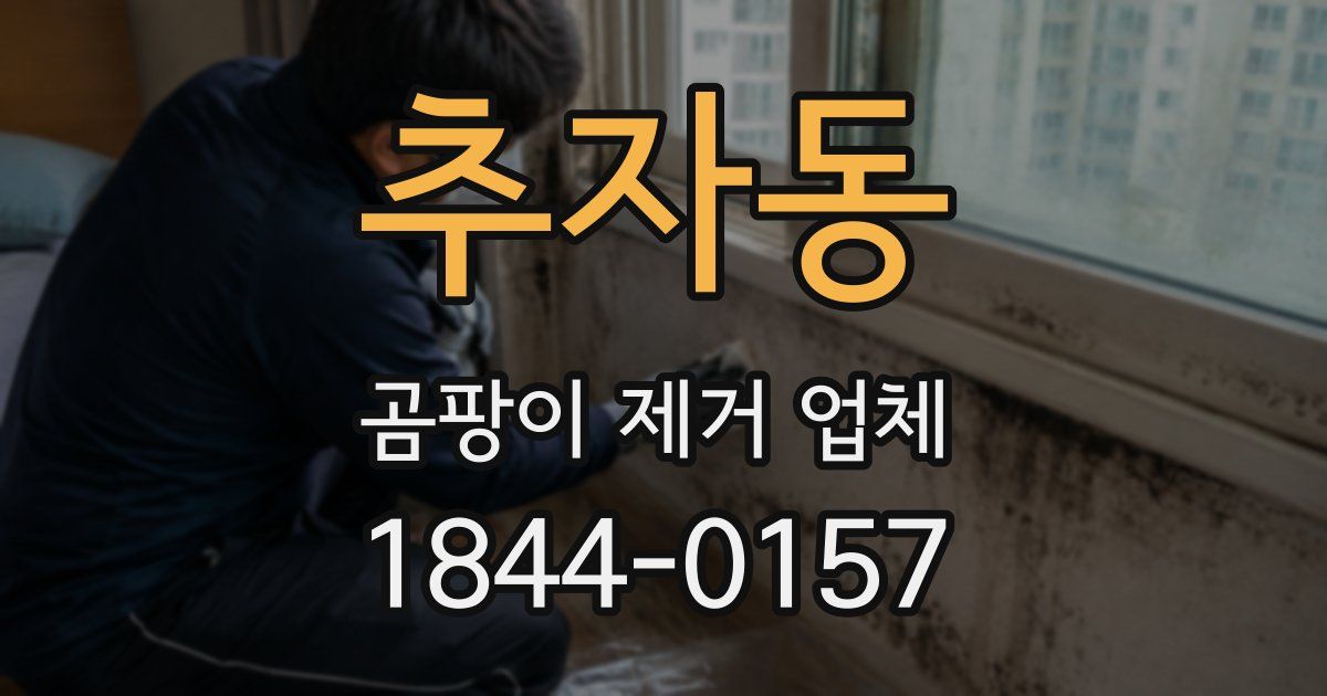 추자동 곰팡이 제거 업체