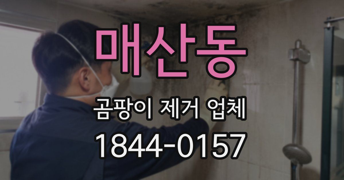 매산동 곰팡이 제거 업체