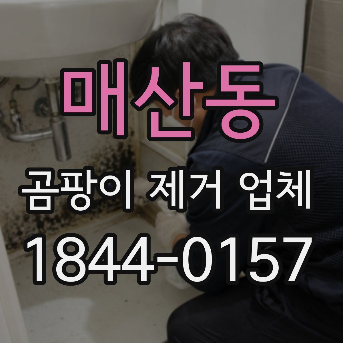 매산동 곰팡이 제거 업체