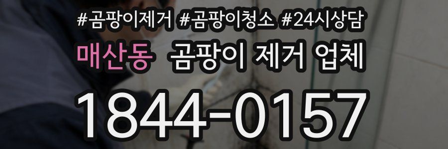 매산동 곰팡이 제거 업체