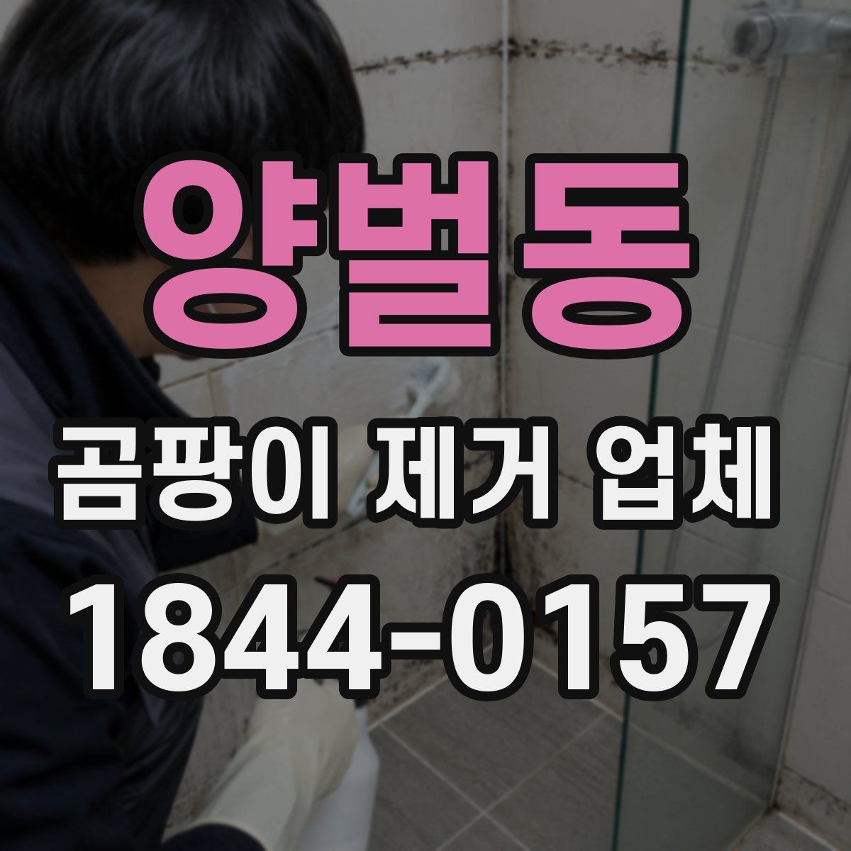 양벌동 곰팡이 제거 업체