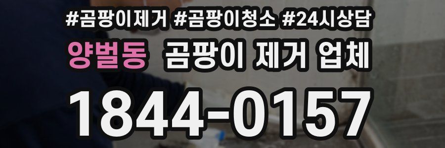 양벌동 곰팡이 제거 업체