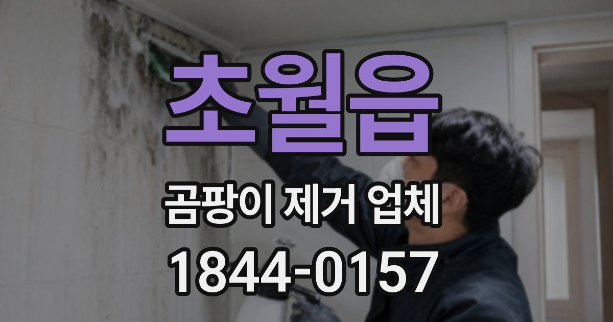 초월읍 곰팡이 제거 업체
