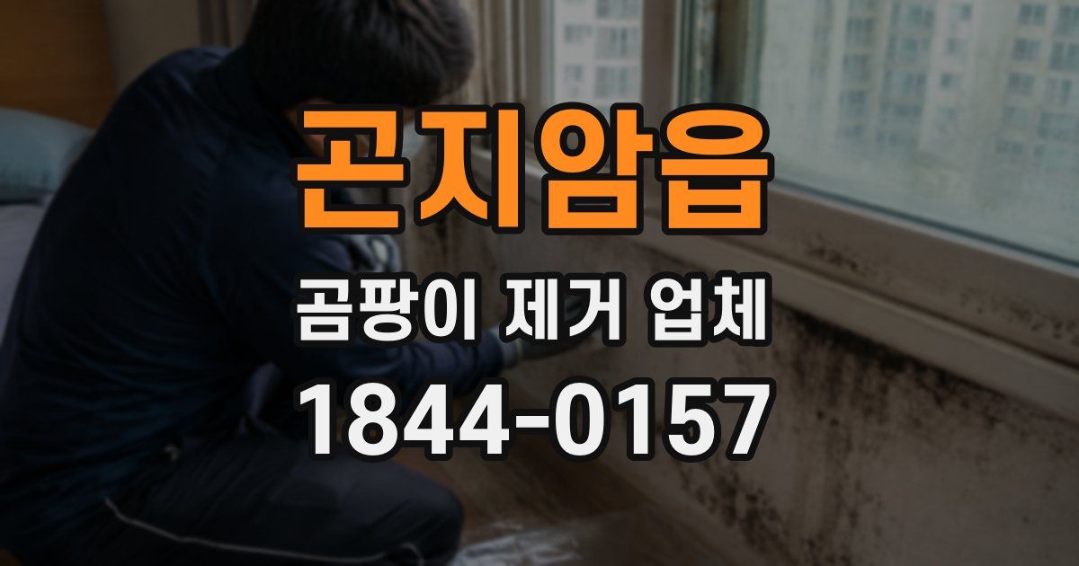 곤지암읍 곰팡이 제거 업체