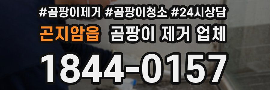 곤지암읍 곰팡이 제거 업체