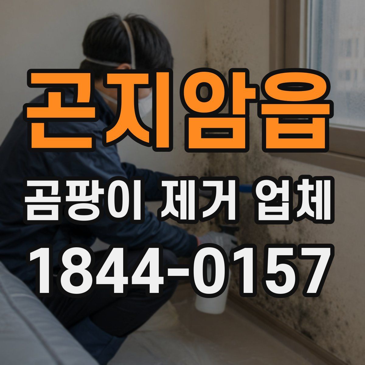 곤지암읍 곰팡이 제거 업체