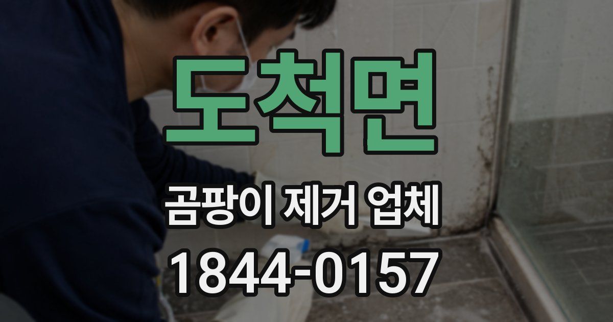 도척면 곰팡이 제거 업체