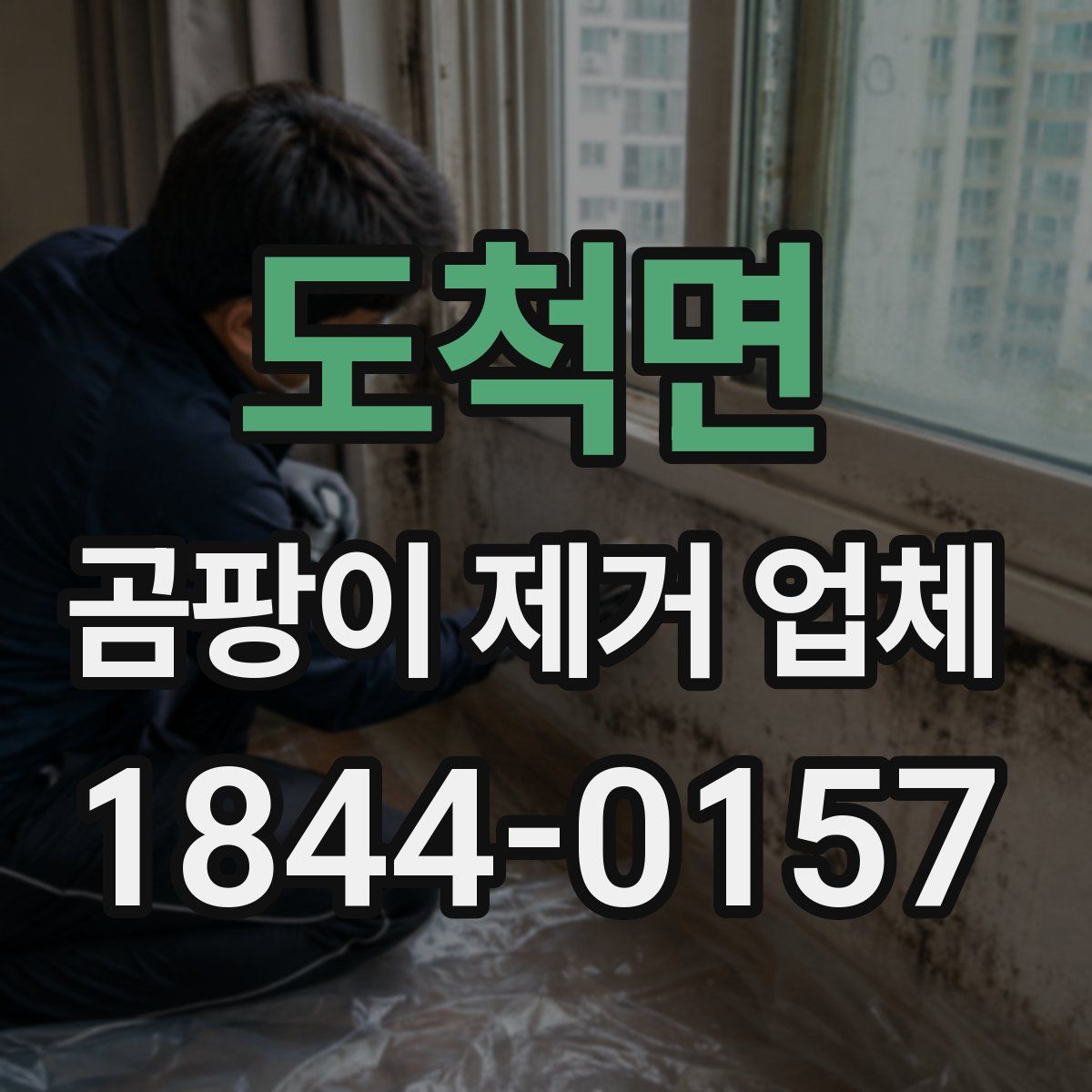 도척면 곰팡이 제거 업체