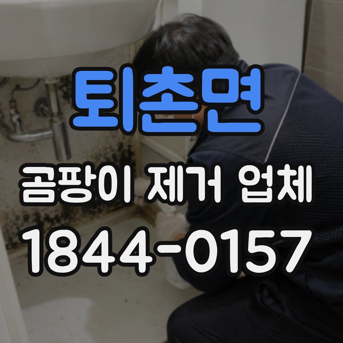 퇴촌면 곰팡이 제거 업체