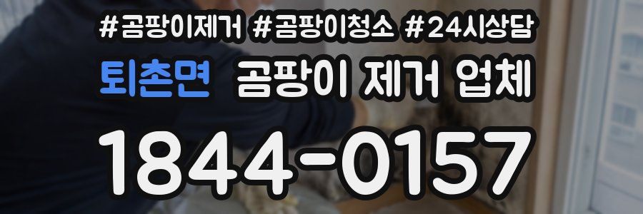 퇴촌면 곰팡이 제거 업체