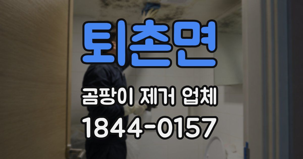 퇴촌면 곰팡이 제거 업체