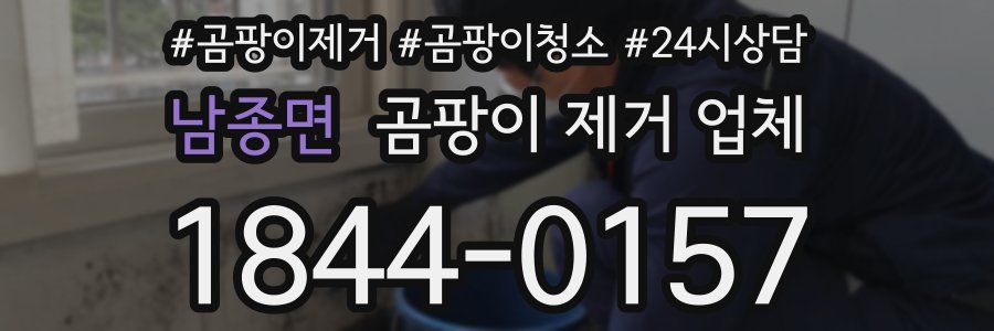 남종면 곰팡이 제거 업체