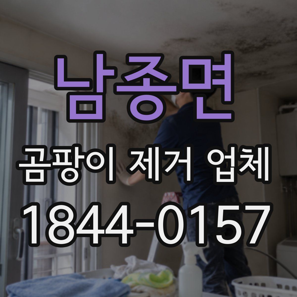 남종면 곰팡이 제거 업체