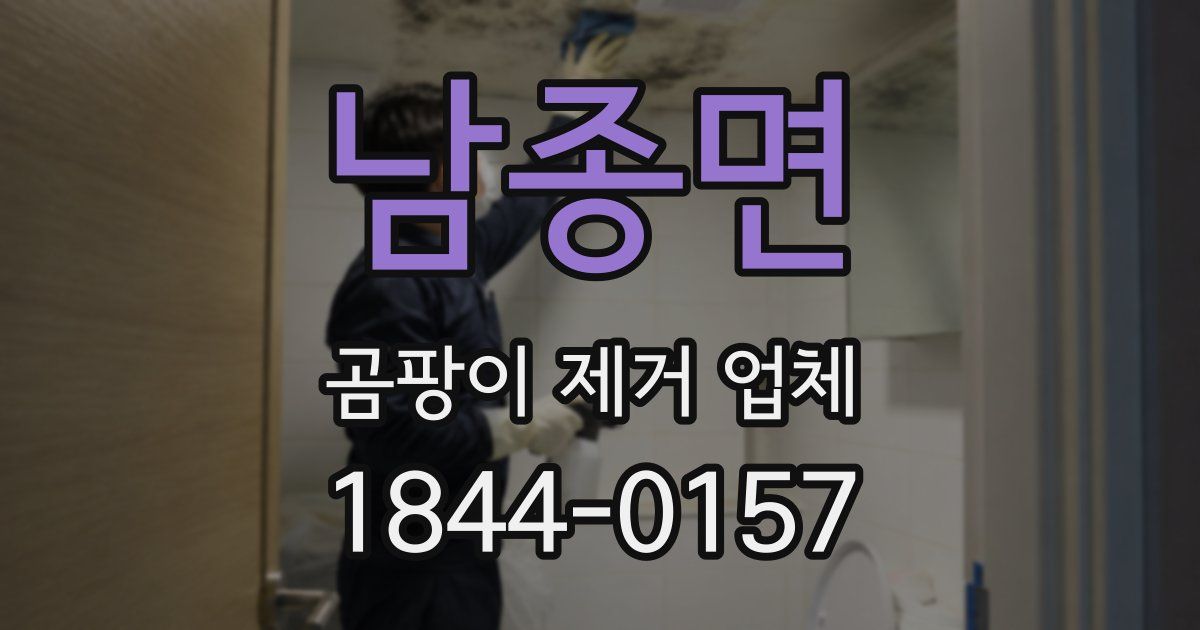 남종면 곰팡이 제거 업체