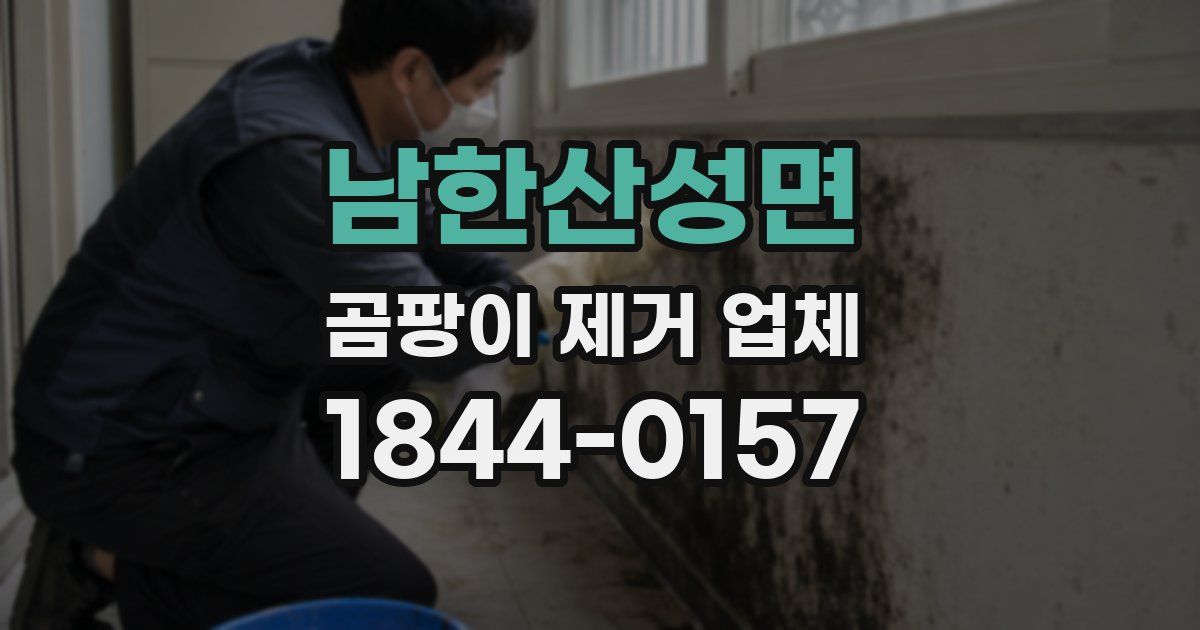 남한산성면 곰팡이 제거 업체