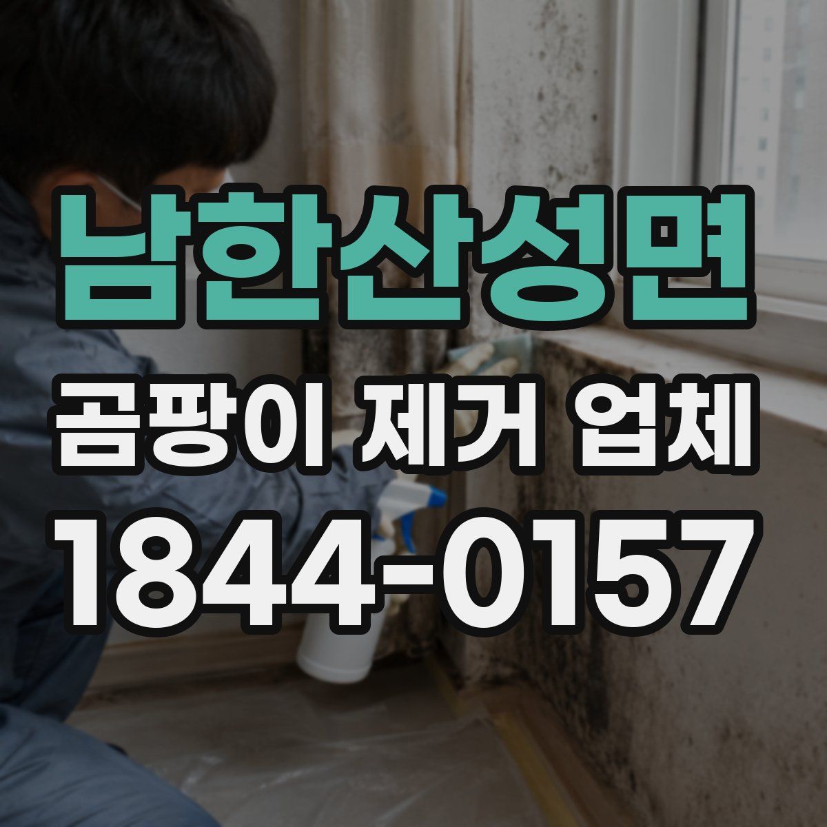 남한산성면 곰팡이 제거 업체