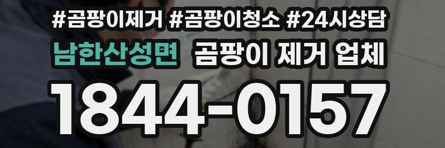 남한산성면 곰팡이 제거 업체
